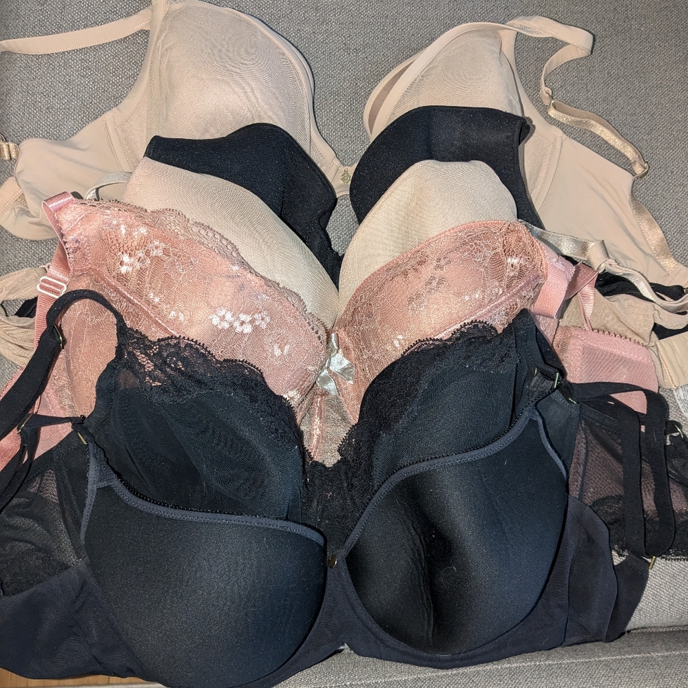 Elegant Lace Trimmed Bra Set - Black and Pink